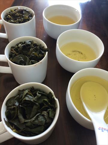 茶製品-茶 產品圖片（圖片編號 920930）