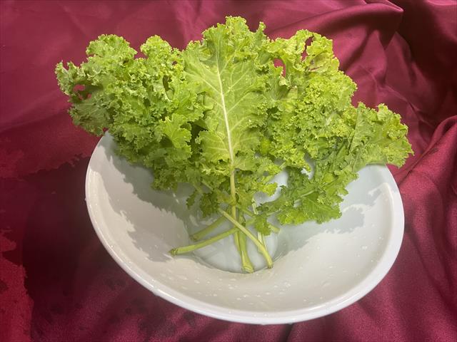 薄荷 產品圖片（產品編號 673612）