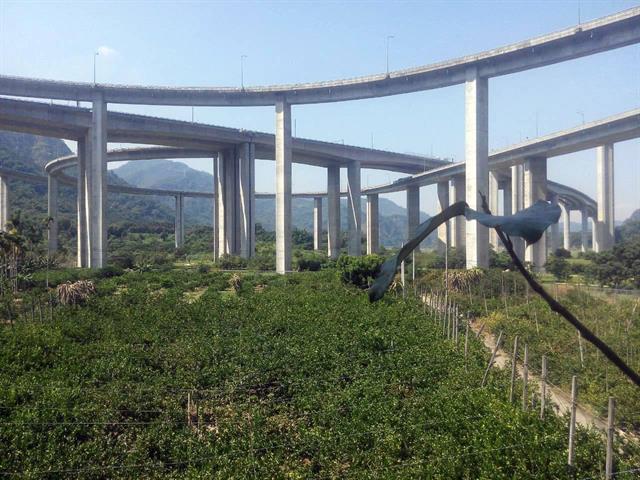百香果 產品圖片（圖片編號 924628）