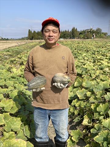 南瓜(金瓜) 產品圖片（圖片編號 925517）