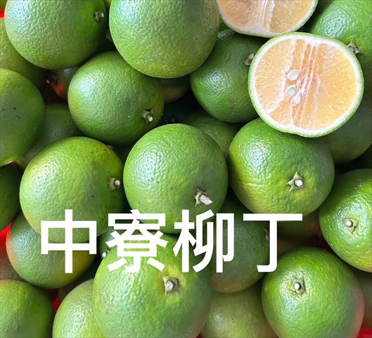 柳橙 產品圖片（圖片編號 927234）