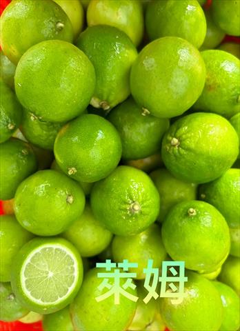 萊姆 產品圖片（產品編號 675564）