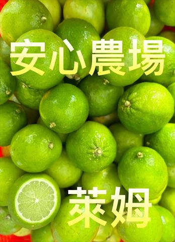 萊姆 產品圖片（圖片編號 927949）
