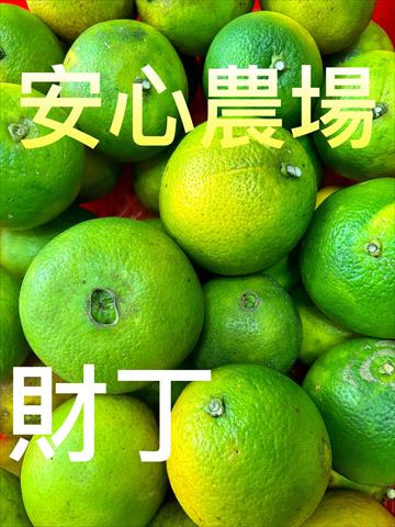 臍橙 產品圖片（圖片編號 927951）