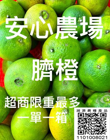 臍橙 產品圖片（圖片編號 927953）