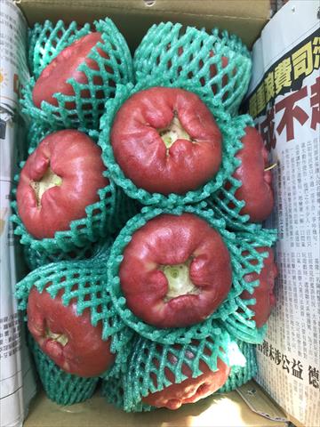 蓮霧 產品圖片（圖片編號 928003）