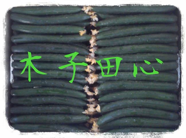 小黃瓜(花胡瓜) 產品圖片（圖片編號 928339）