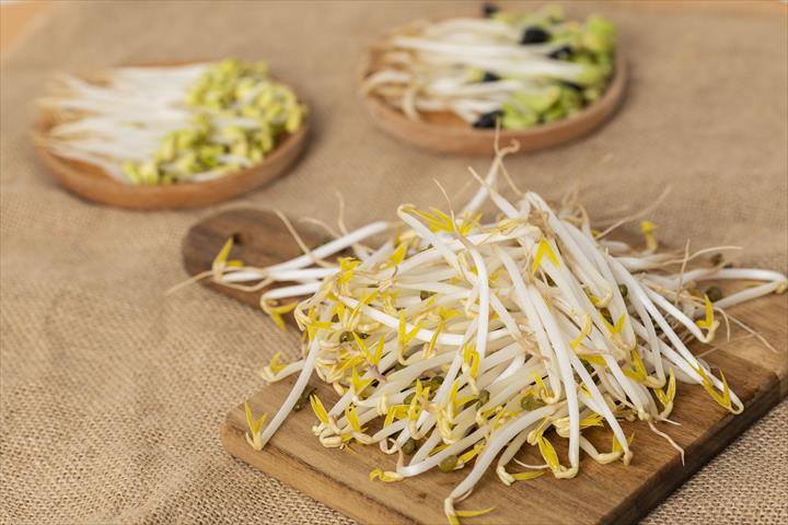 綠豆芽 產品圖片（圖片編號 928463）