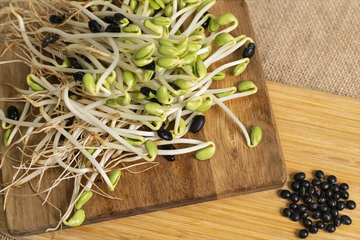 黑豆芽 產品圖片（圖片編號 928464）