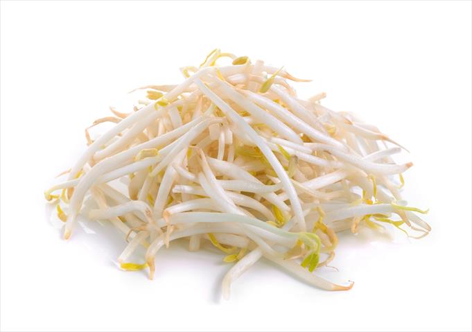 綠豆芽 產品圖片（圖片編號 928468）