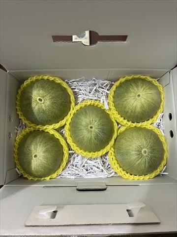 甜瓜 產品圖片（圖片編號 928709）