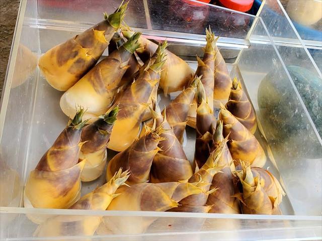 竹筍 產品圖片（產品編號 677163）