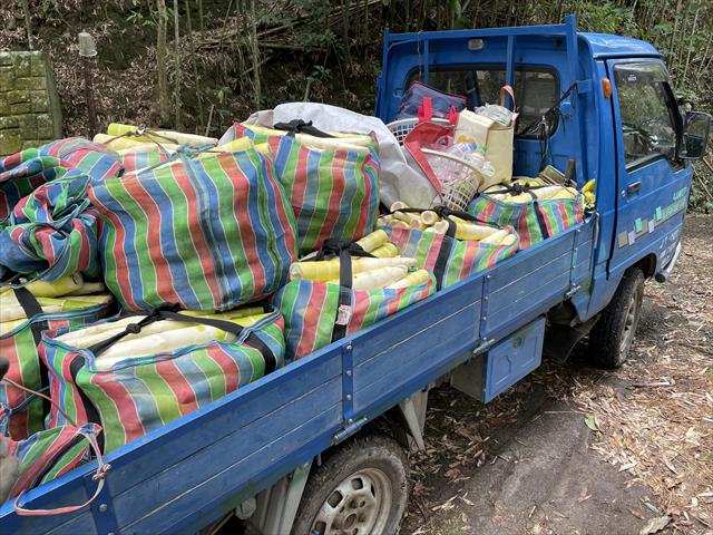 竹筍 產品圖片（產品編號 677662）