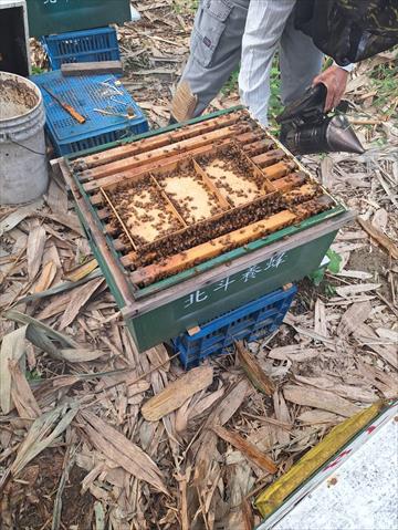 蜂產品-蜂蜜 產品圖片（圖片編號 932461）