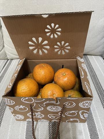 桶柑 產品圖片（圖片編號 933993）