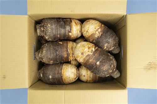 芋頭 產品圖片（圖片編號 937802）
