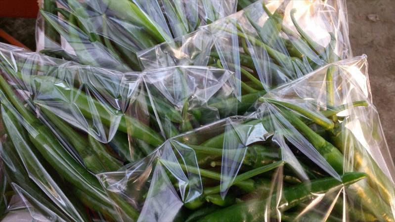 辣椒 產品圖片（圖片編號 943208）