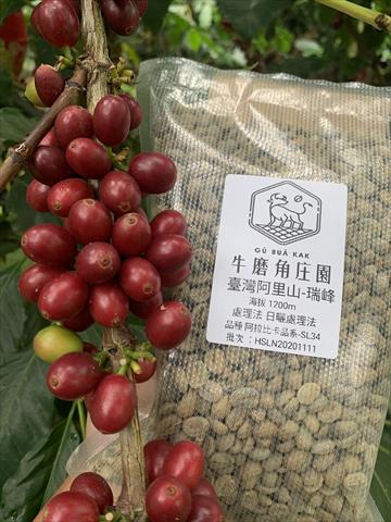 咖啡製品-咖啡 產品圖片（產品編號 683239）