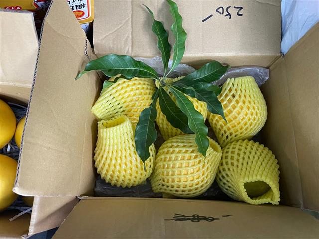黃金果(黃晶果,加蜜蛋黃果,蜜蛋黃果) 產品圖片（圖片編號 943747）