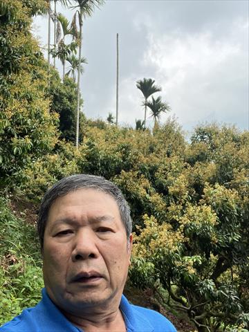 荔枝 產品圖片（產品編號 684441）