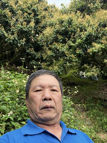 荔枝 產品圖片（圖片編號 946062）