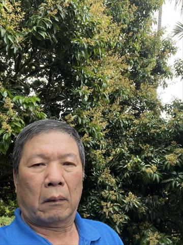 荔枝 產品圖片（圖片編號 946063）