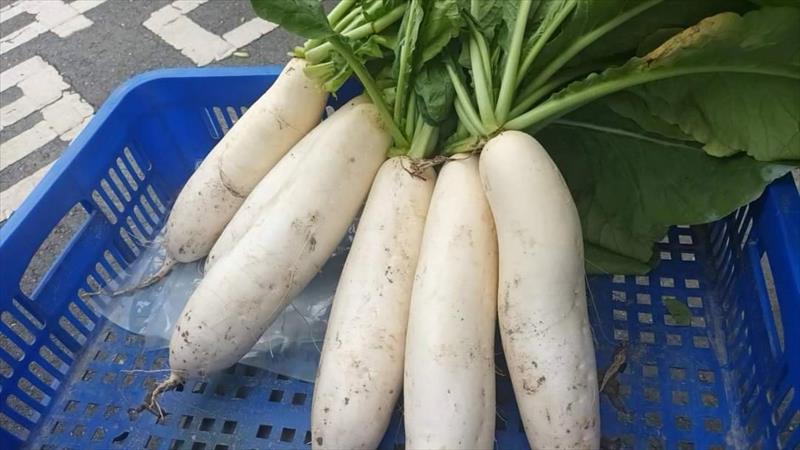 產品圖片