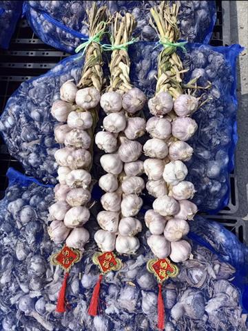 大蒜 產品圖片（圖片編號 947946）