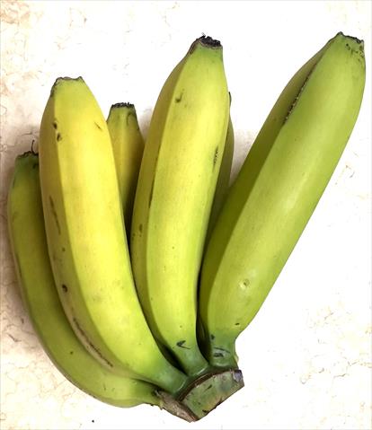 香蕉 產品圖片（圖片編號 949488）