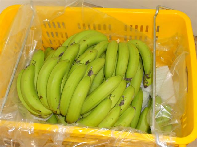 香蕉 產品圖片（圖片編號 950129）