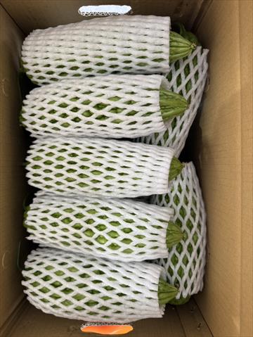 苦瓜 產品圖片（圖片編號 950346）