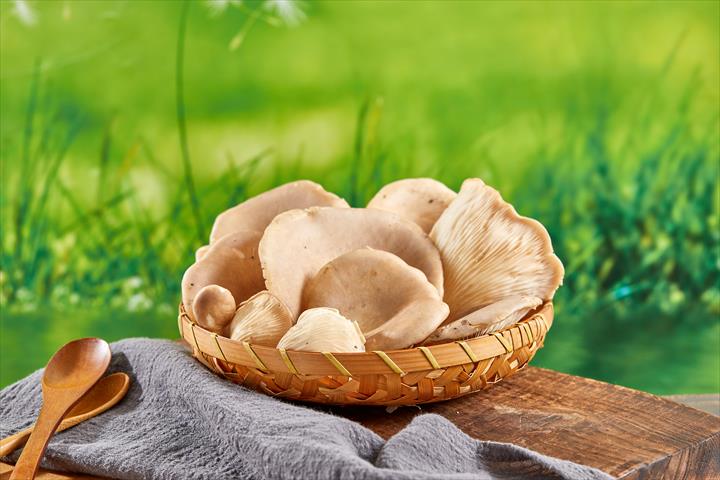 鮑魚菇 產品圖片（圖片編號 951811）