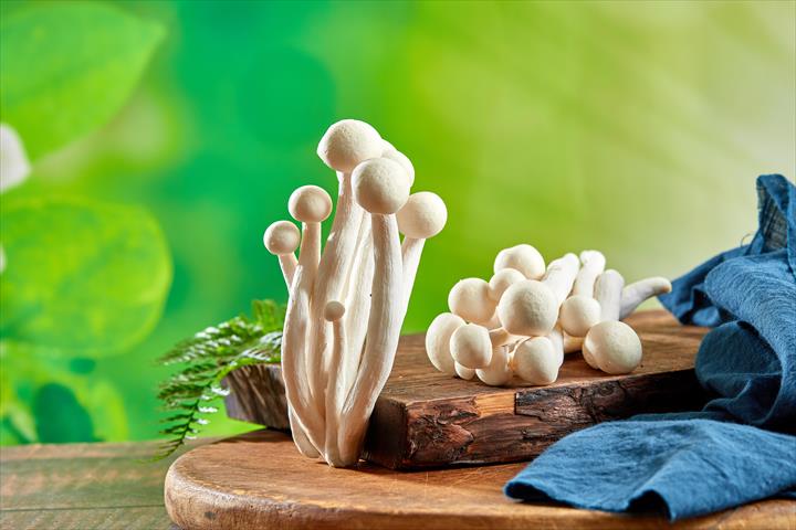 白精靈菇 產品圖片（圖片編號 951819）