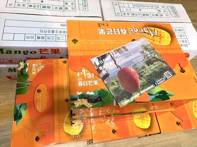 芒果 產品圖片（產品編號 687476）