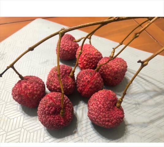 荔枝 產品圖片（圖片編號 954410）