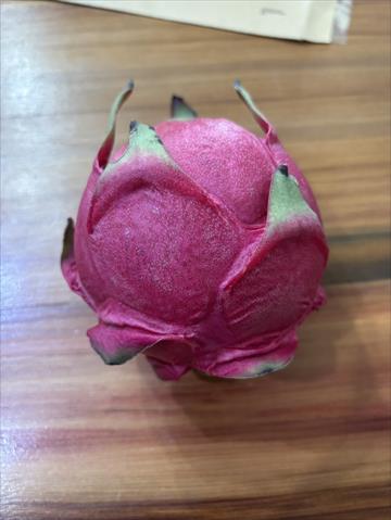 紅龍果 產品圖片（圖片編號 955798）