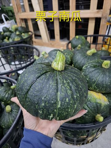 南瓜(金瓜) 產品圖片（產品編號 644212）