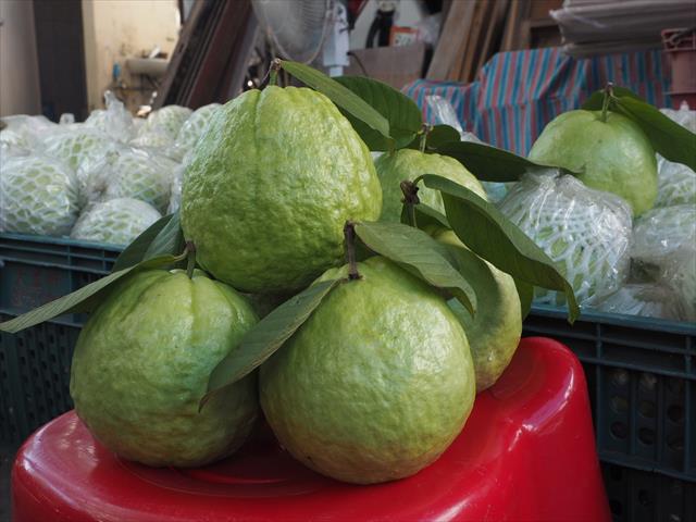 番石榴(芭樂) 產品圖片（圖片編號 961830）