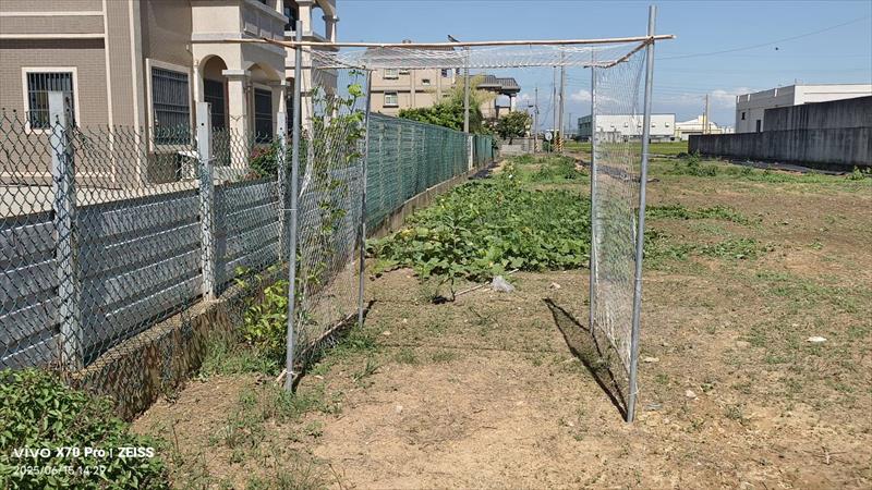 百香果 產品圖片（圖片編號 962387）