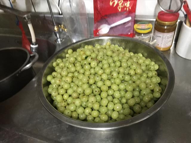 油甘 產品圖片（圖片編號 962812）