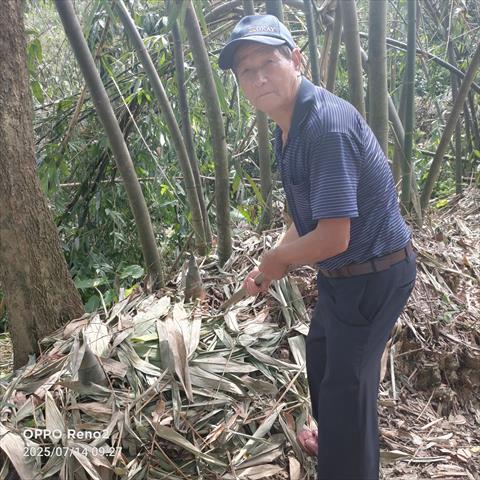 竹筍 產品圖片（產品編號 692642）