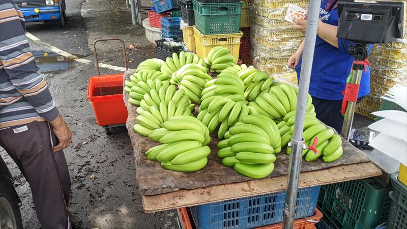 香蕉 產品圖片（圖片編號 963064）