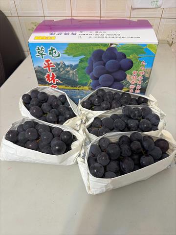 葡萄 產品圖片（圖片編號 965092）