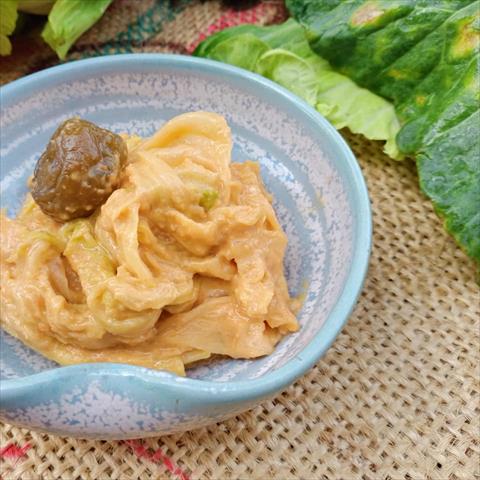 甘藍(高麗菜) 產品圖片（圖片編號 965531）