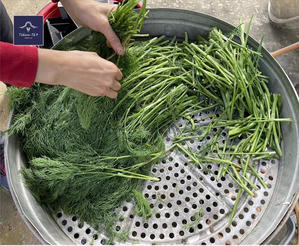 茴香 產品圖片（圖片編號 965543）
