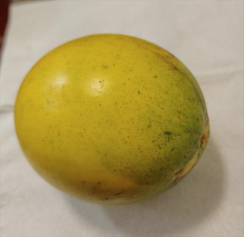 產品圖片