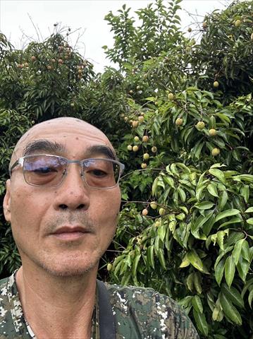 荔枝 產品圖片（產品編號 694141）