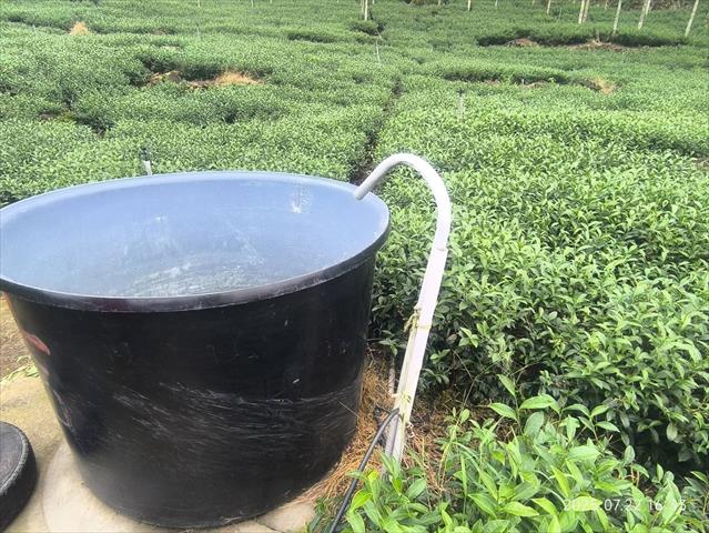 茶製品-茶 產品圖片（圖片編號 966588）