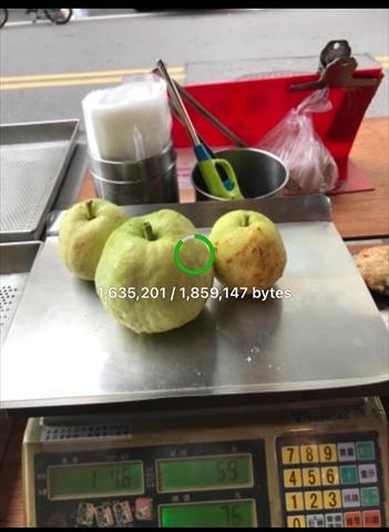 番石榴(芭樂) 產品圖片（圖片編號 966814）