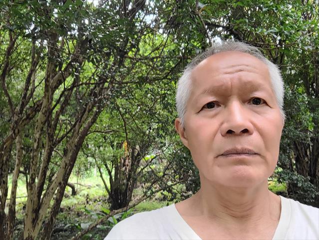 嘉寶果(樹葡萄) 產品圖片（產品編號 694436）
